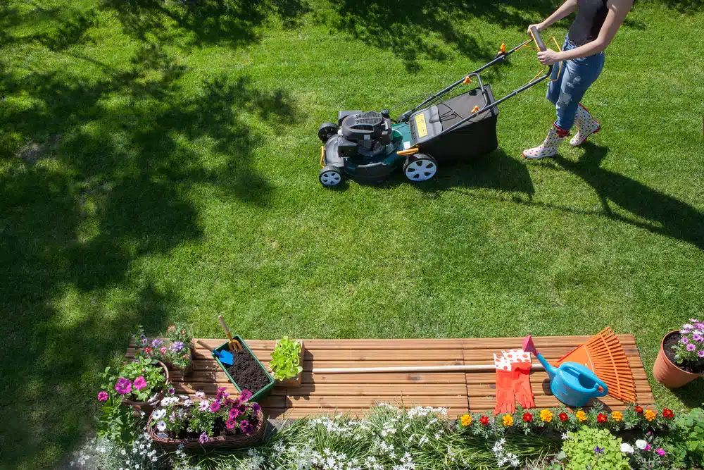 Summer Lawn Care