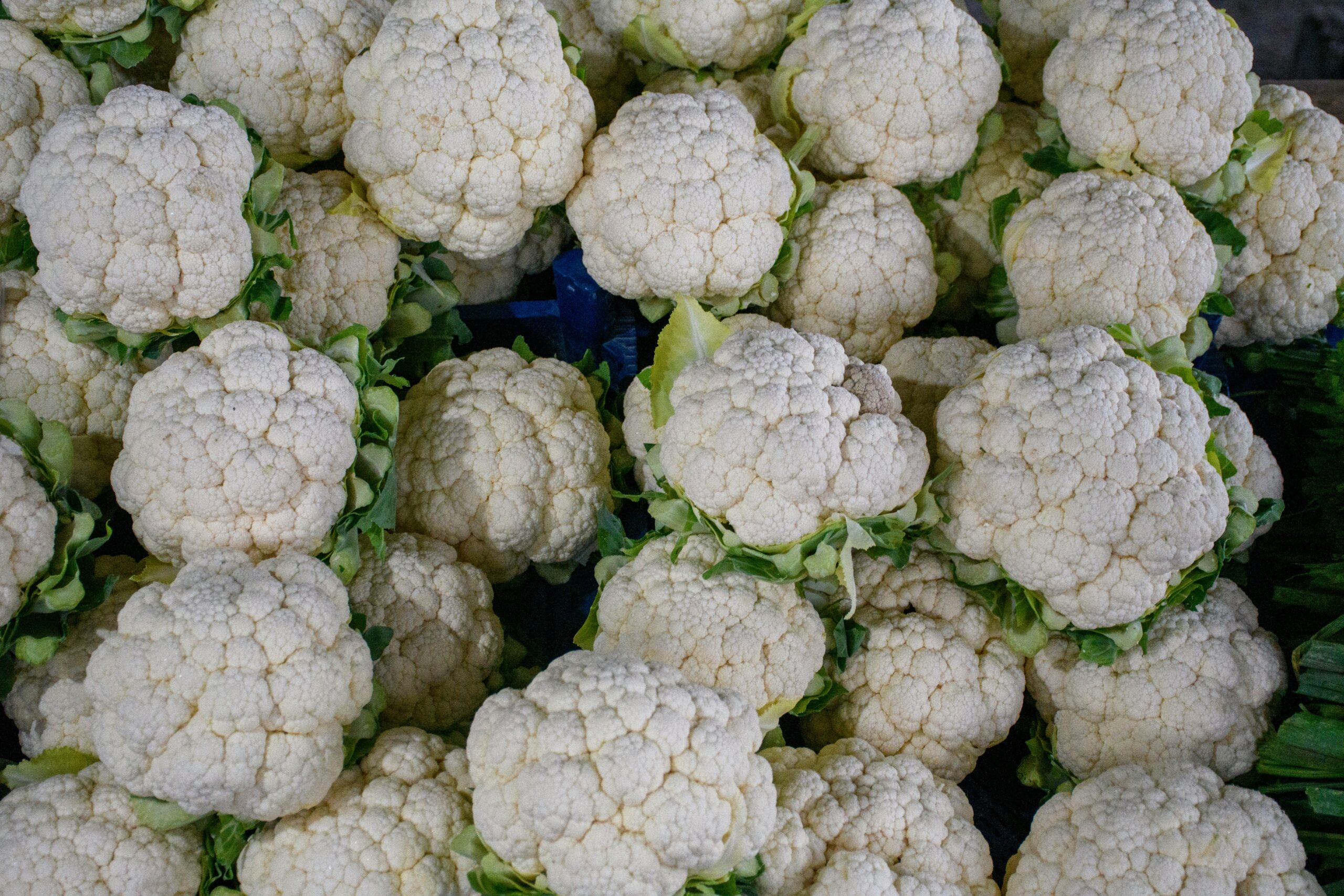 Cauliflower