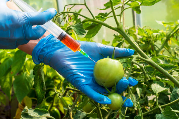 Biotechnology and Genetically Modified Organisms