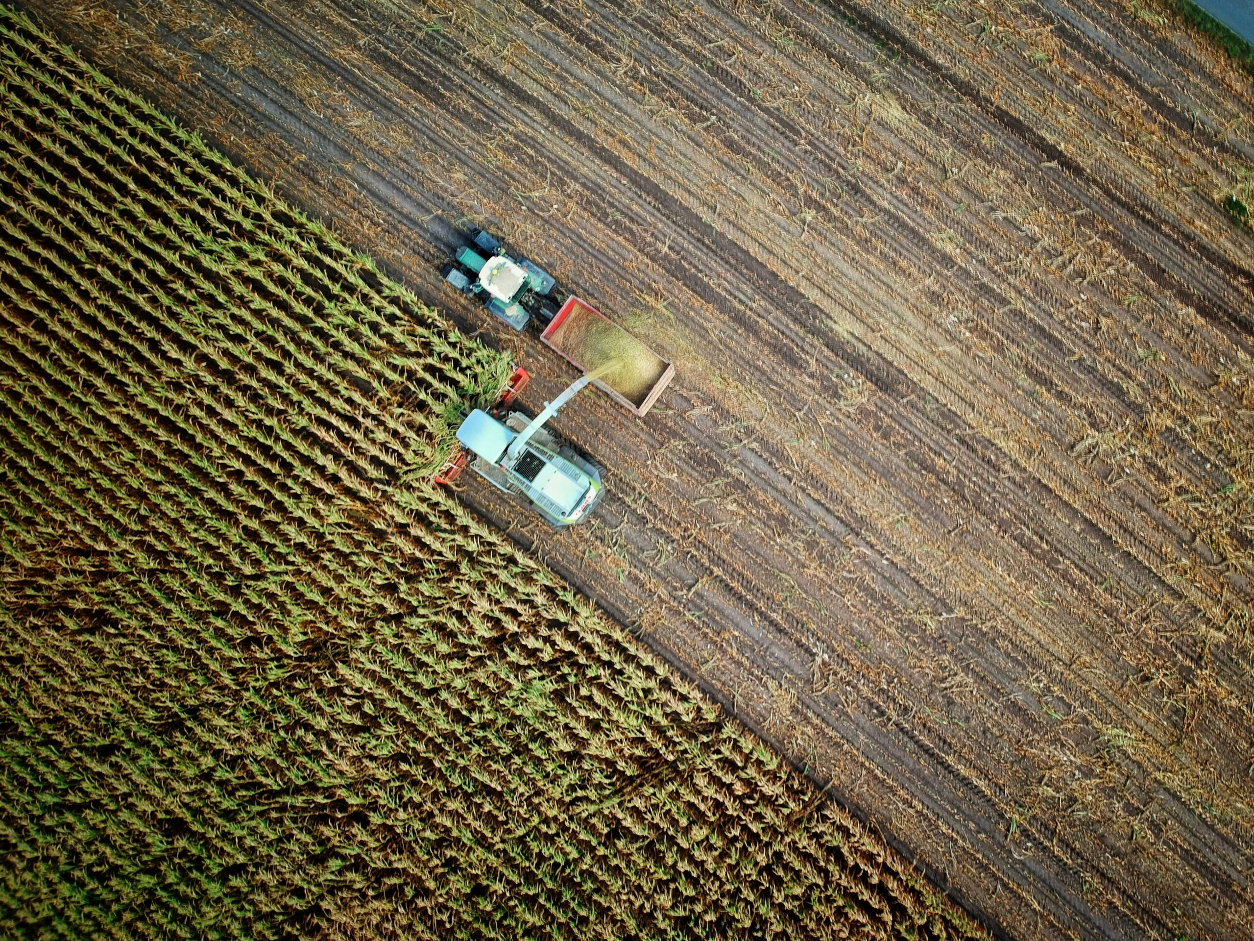 Precision Agriculture