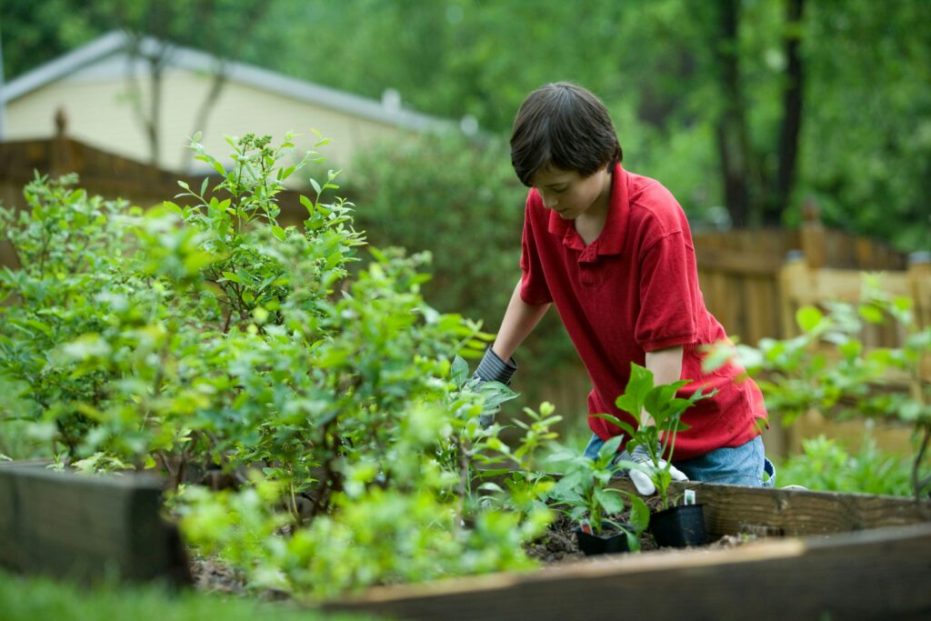Kitchen Gardening