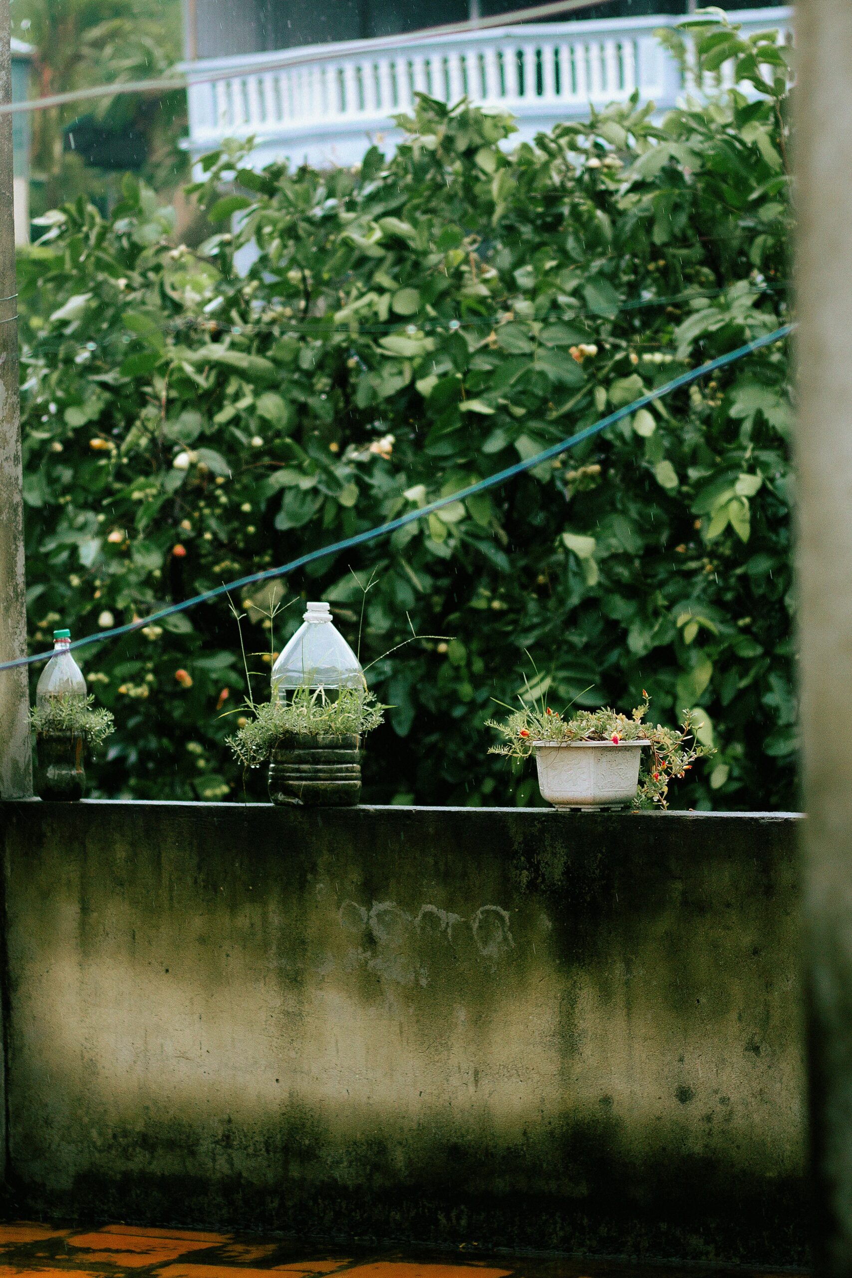 d-ng-duyen-Qob2R4eZFv0-unsplash