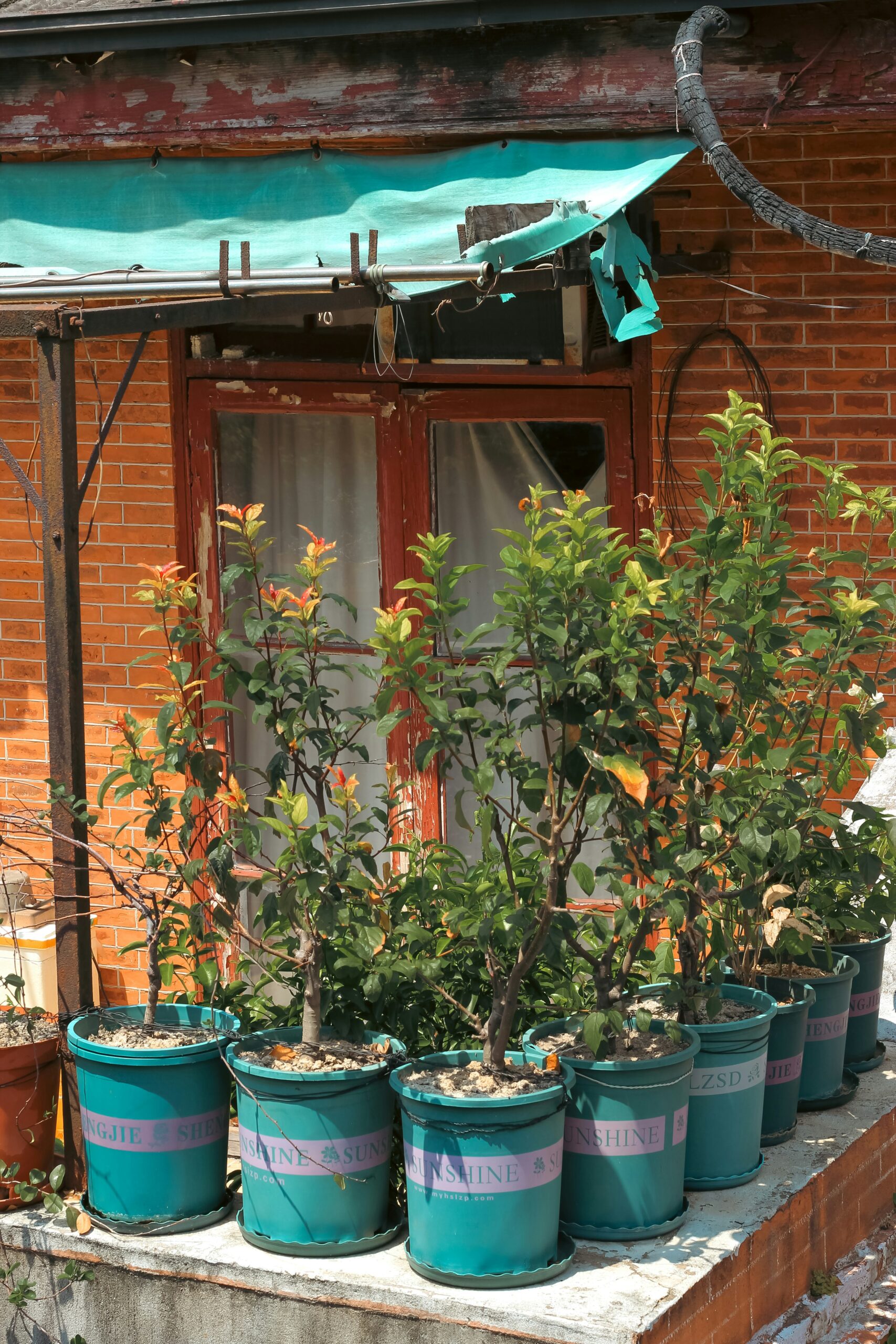 dokyung-kim-gasuC-dj2Z0-unsplash