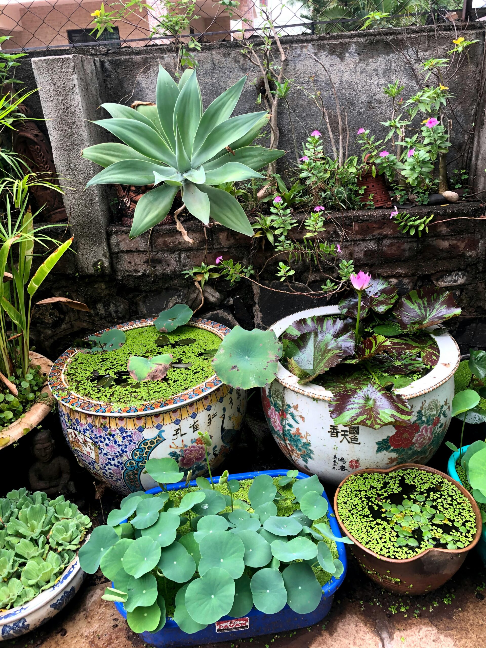 madhavi-solanki-DITEFUW9FBk-unsplash