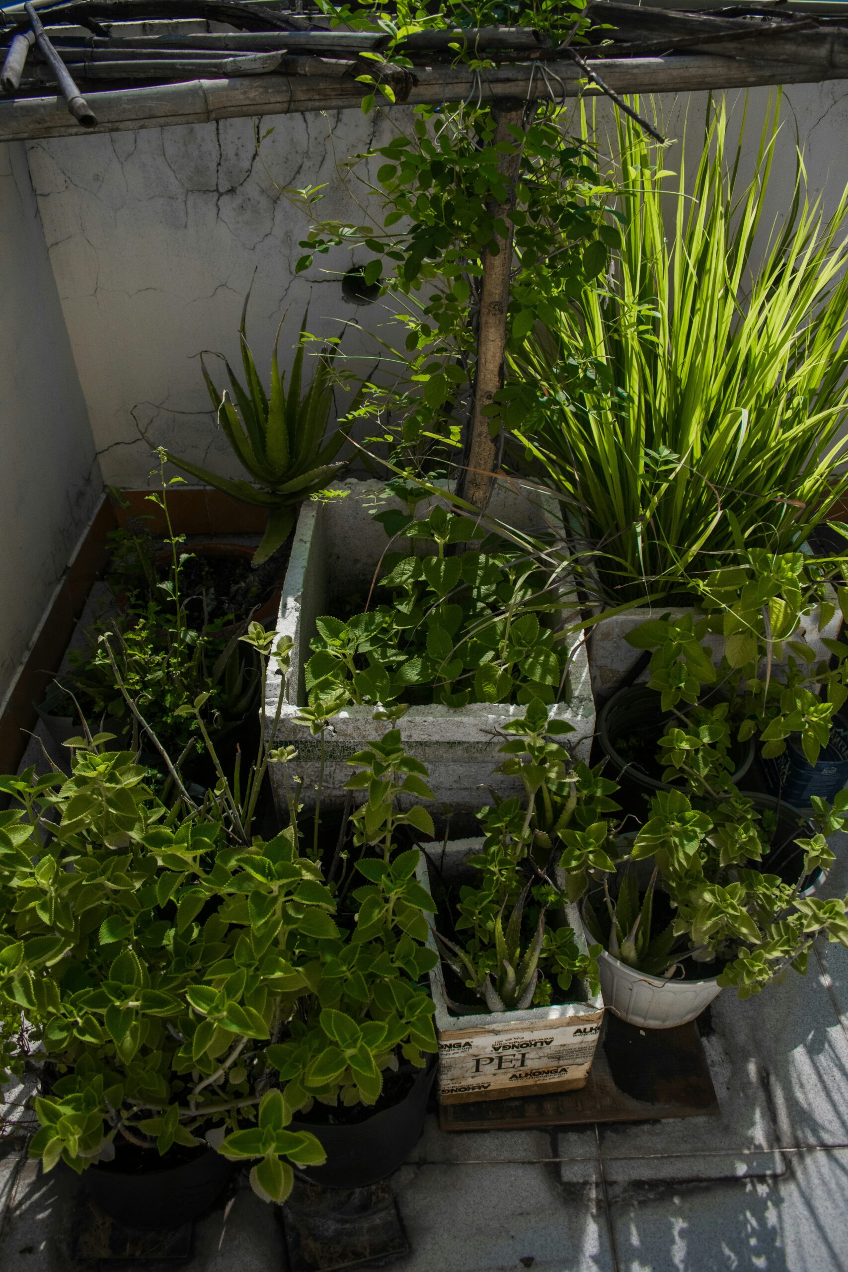 pham-hien-triet-Xa2hfm07qqM-unsplash (1)