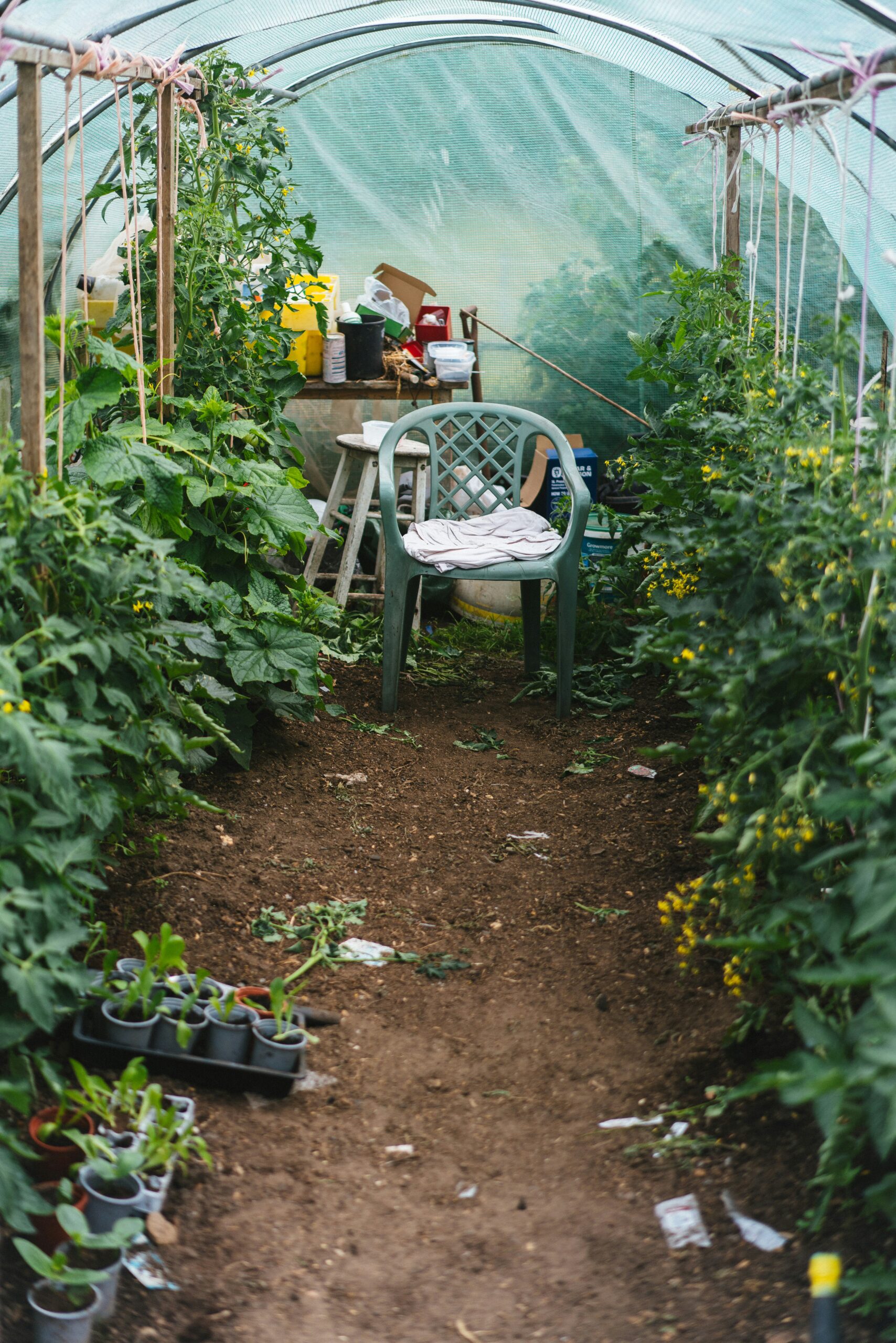 phil-hearing-EhFj-5K-UkU-unsplash