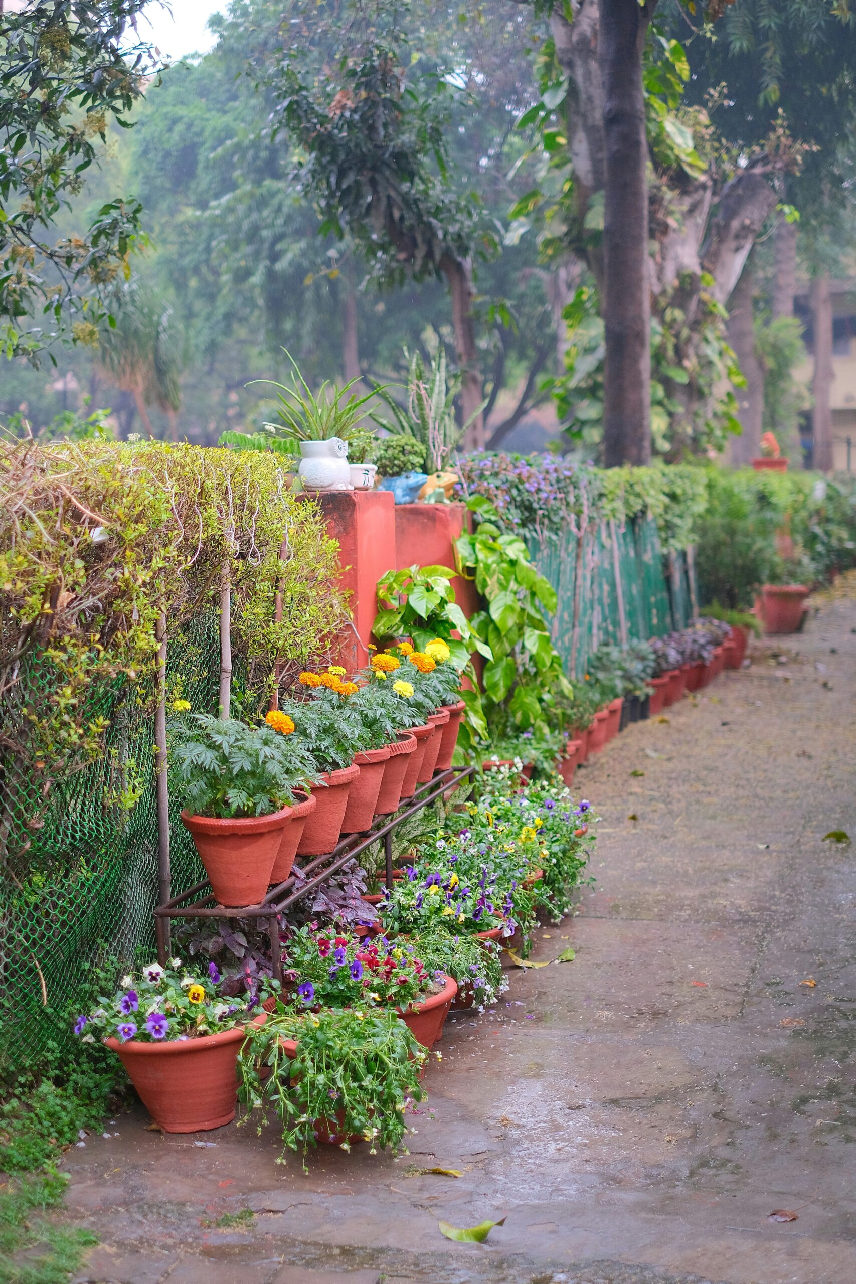 ravi-sharma-F3CxlfPIgTs-unsplash