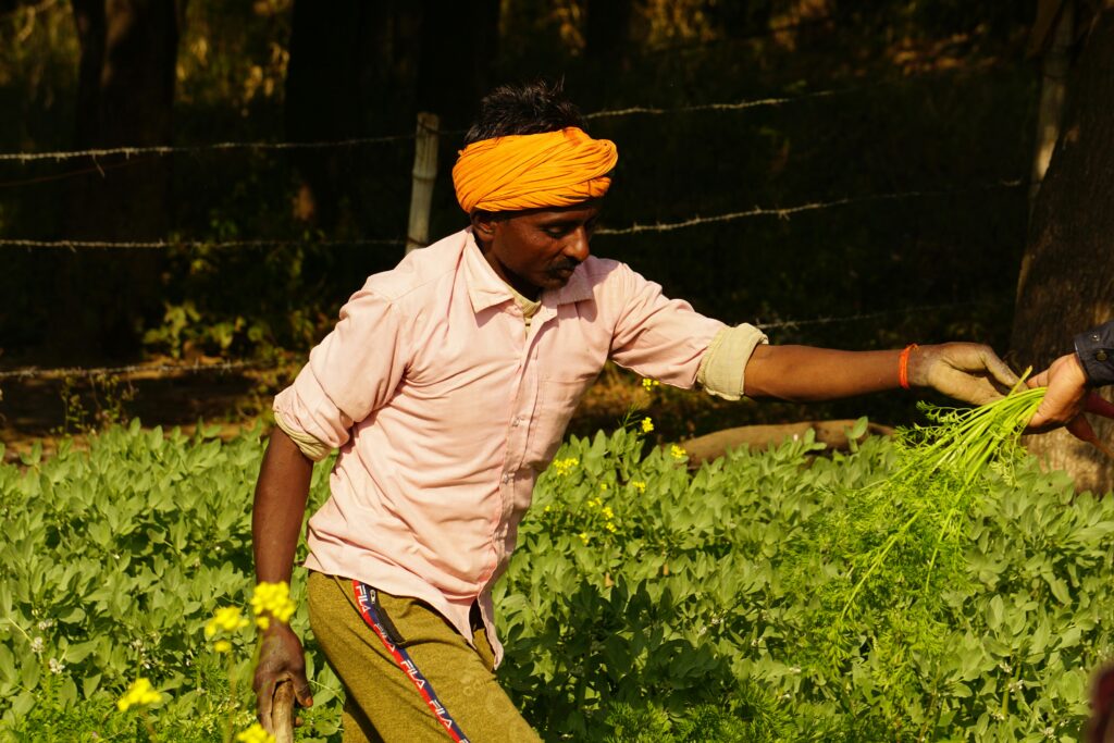 Modern Farming Techniques in India