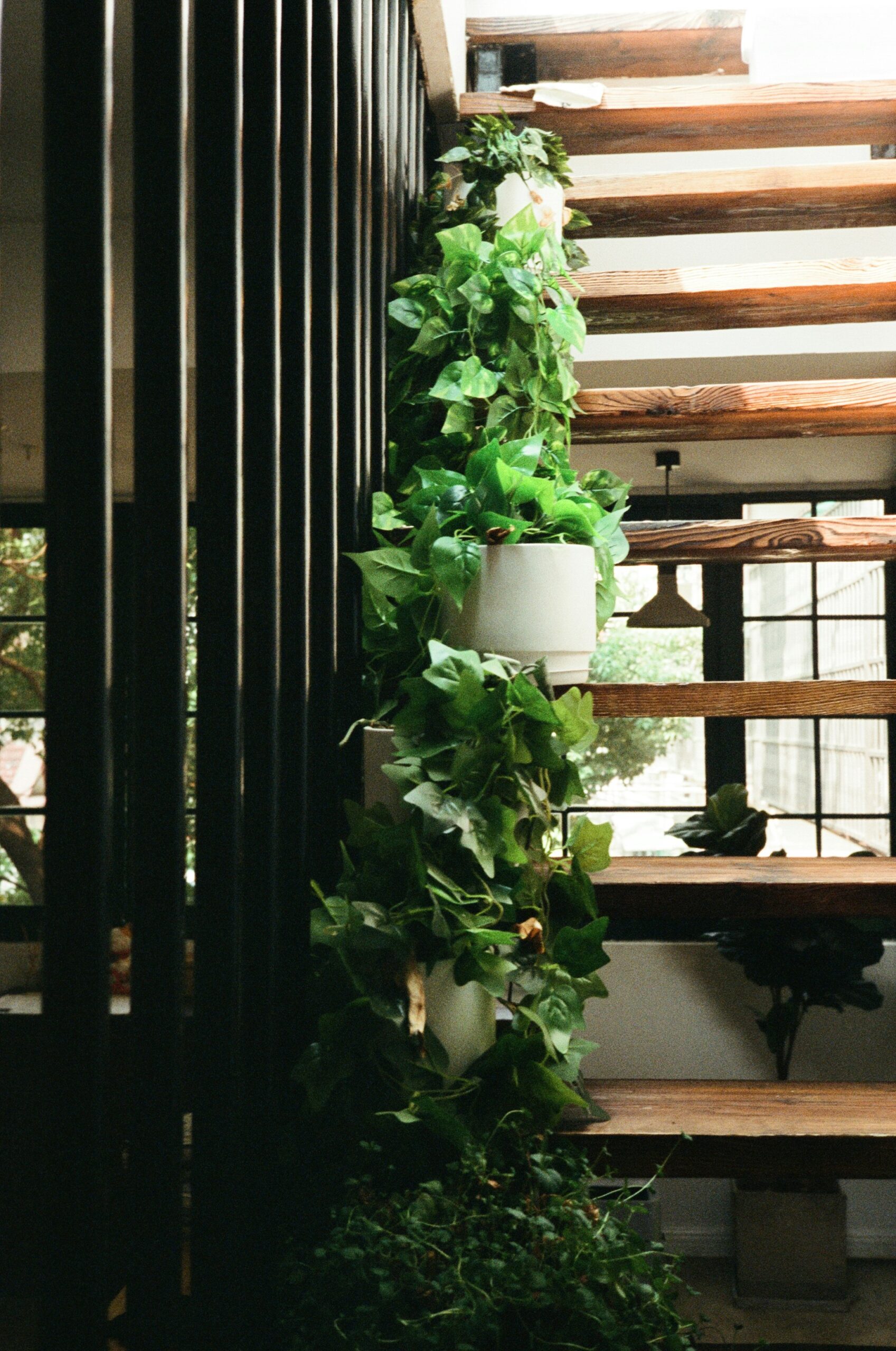 yifei-wong-fhO_9Fohetg-unsplash